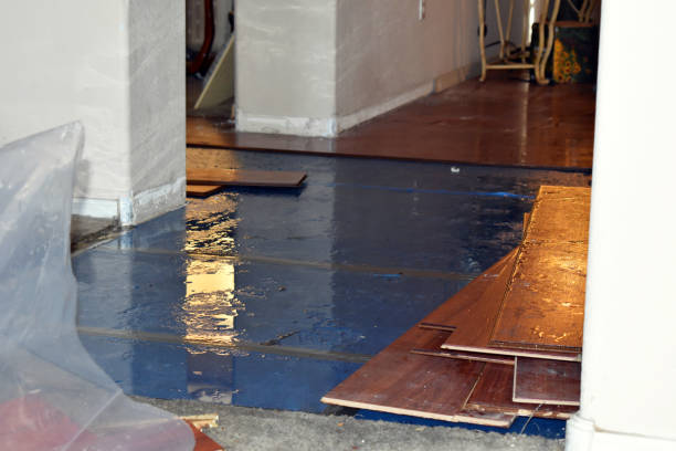 Professional Flood Damage Repair technician working in Garwood, TX